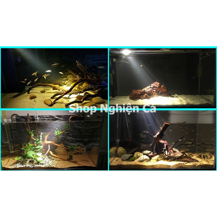 Đèn led rọi kẹp thành hồ cá thủy sinh 3W 5W