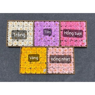Cúc sáp Dalia hộp 25 bông
