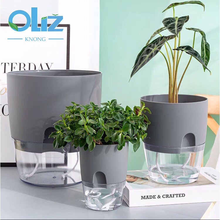 Chậu Cây Để Bàn Oliz Knong A7.Chậu Trồng Cây Thông Minh Tự Tưới Nước Decor Văn Phòng, Bàn Làm Việc