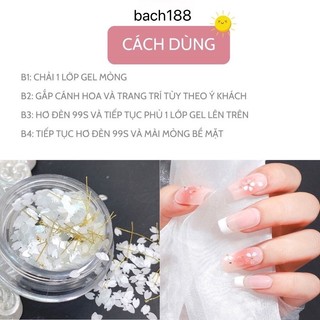 Sét charm hoa mix bi vàng trang trí Nail,phụ kiện làm Nail