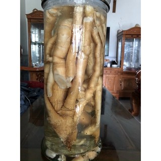 Sâm xuyên đá 150k/2kg
