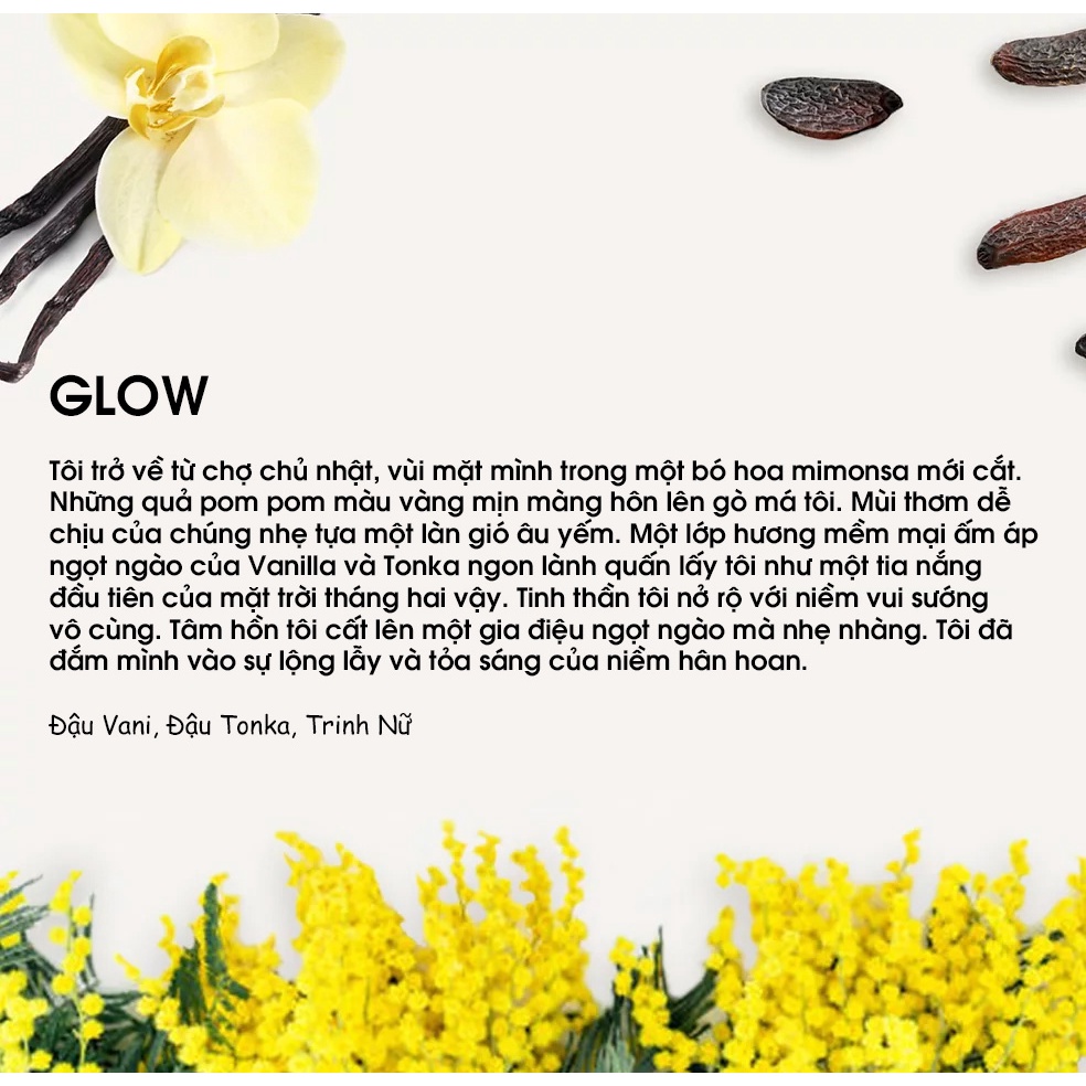 Bộ Tinh dầu treo xe ôtô ĐÁ NÚI LỬA chính hãng Thái lan - Yugen Vietnam