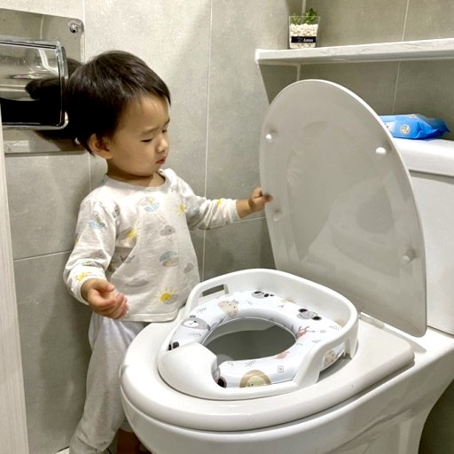 BỆ NGỒI TOILET CHO BÉ AGUARD HÀN QUỐC