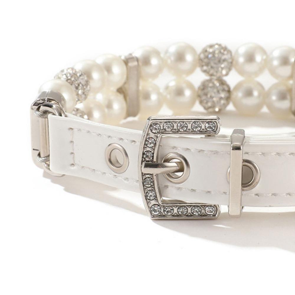 [COD] Vòng Cổ TùY ChỉNh Cho Thú Cưng