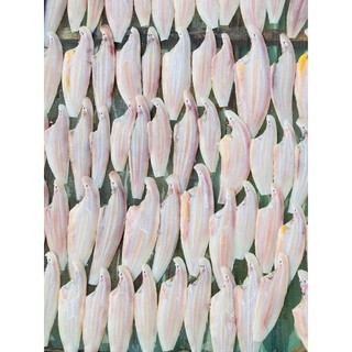 Khô Cá Lưỡi Trâu. 500g (giao hỏa tốc)