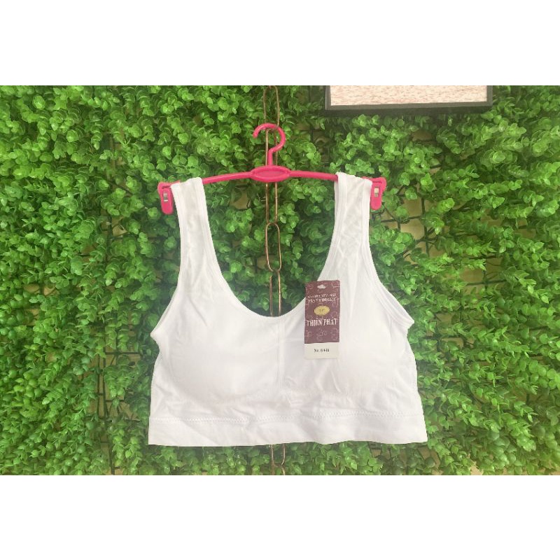 Áo Lót Dạng Chui Cho Bé-Áo Lá Xuất Khẩu Cho Gái Cấp 1,2,3 AB1