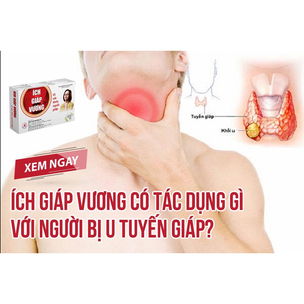 ÍCH GIÁP VƯƠNG - TÍCH ĐIỂM 6 TẶNG 1 - HỖ TRỢ NGỪA BƯỚU CỔ, TĂNG CƯỜNG CHỨC NĂNG TUYẾN GIÁP (HỘP 30 VIÊN)