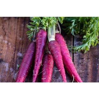 150h Hạt Giống Cà Rốt Tím Purple Giàu Anthocyanin