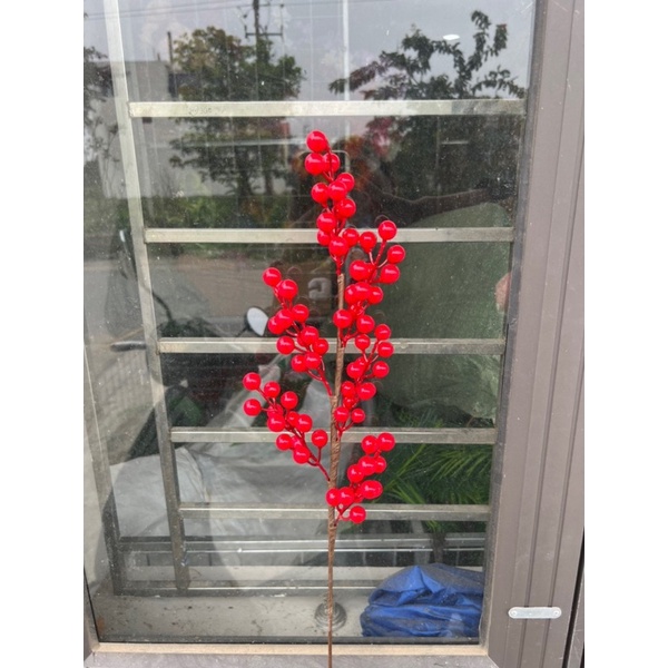 Đào đông 6 nhánh