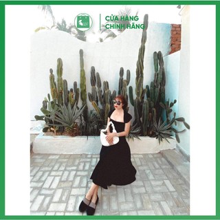 Đầm đen đi tiệc dáng xòe sang chảnh