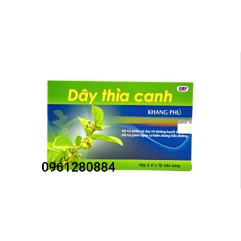 Dây thìa canh khang phú