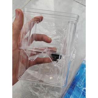 Lồng tách dưỡng cá cảnh Acrylic