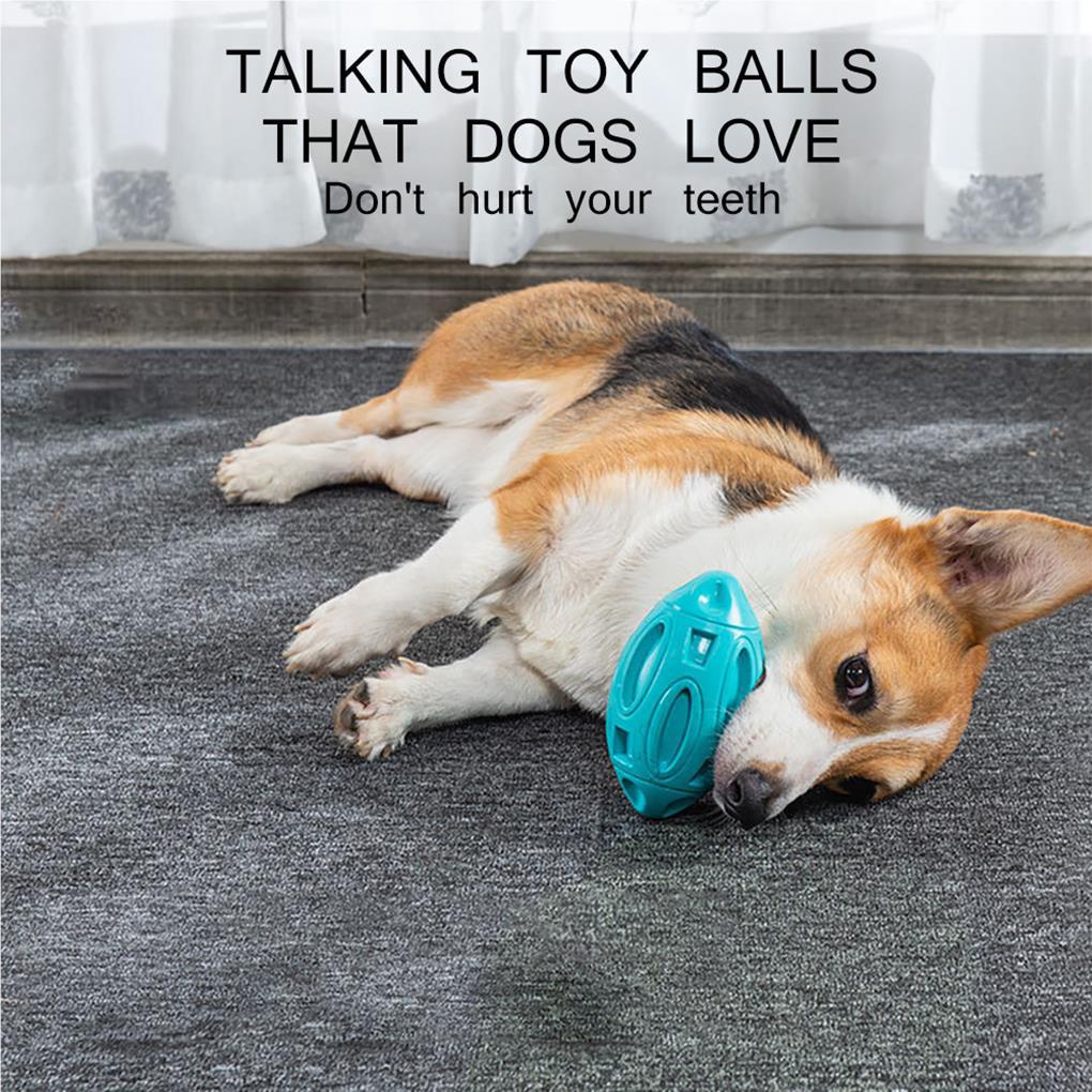 Bóng Cao Su Đồ Chơi Cho Thú Cưng