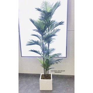 cây cau giả 1,6m