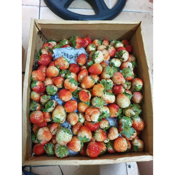 3kg dâu tây size nhì