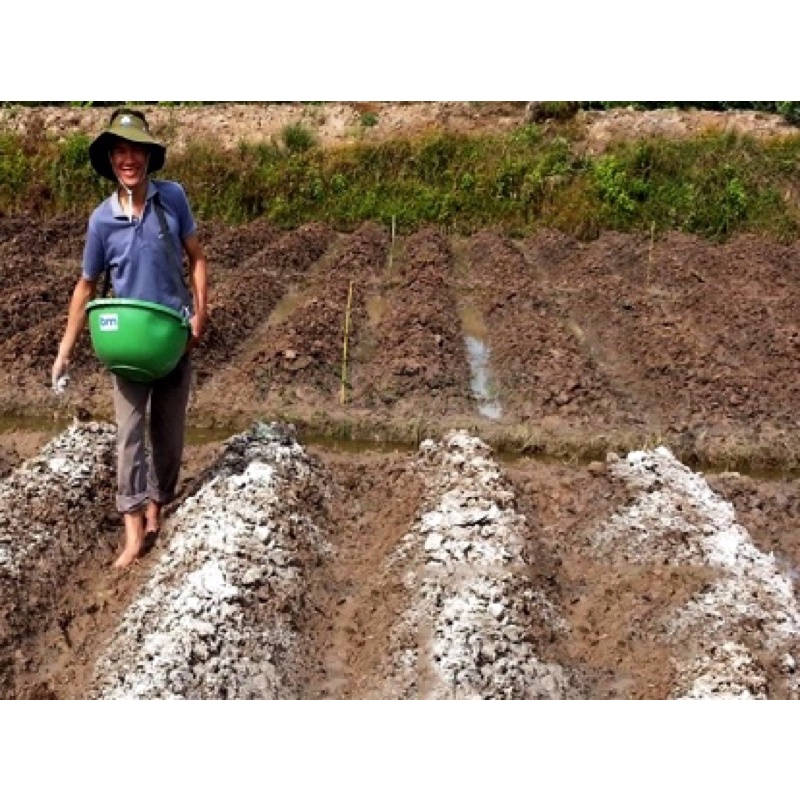 1000g vôi bột ninh bình
