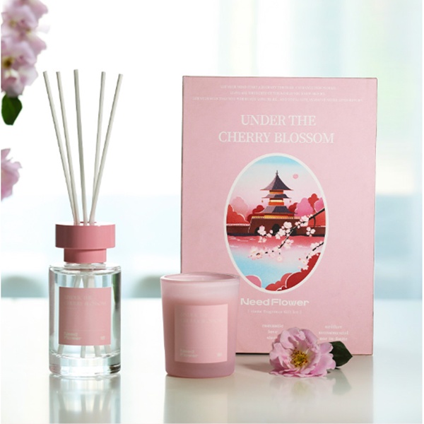 [5 mùi] Set hộp quà nến thơm va tinh dầu khuếch tán