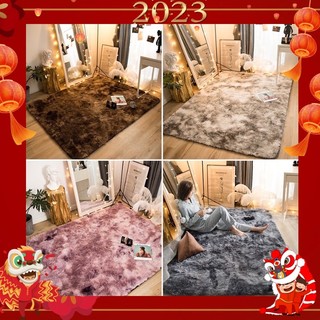 Thảm lông trải sàn nhập khẩu 1m6 x 2m và 2m x 3m. Thảm decor phòng khách, phòng ngủ