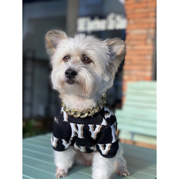 Áo NY cho chó mèo