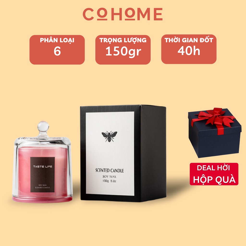 Nến thơm phòng cao cấp trang trí, nến thơm candle cup không khói mùi hương tự nhiên