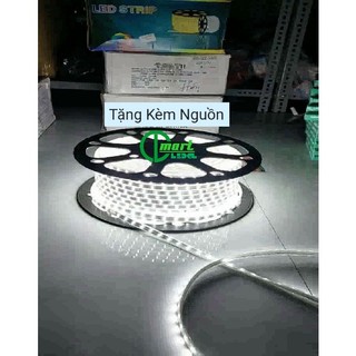 ✅[Siêu Rẻ] Dây Led 5730 2 Hàng Bóng 220V Siêu Sáng Chống Nước Có Thể Dùng Ngoài Trời,Hắt Trần,...