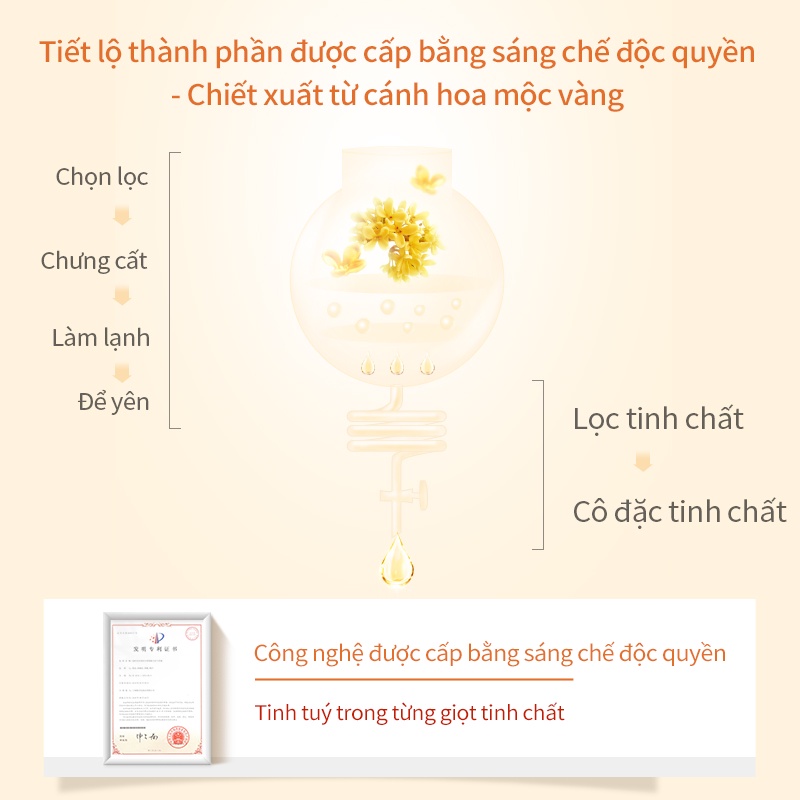 MASK FAMILY Mặt nạ mắt làm sáng và giả thâm quầng mắt dưỡng ẩm làm săn chắc da sản phẩm chăm sóc mắt 40 miếng