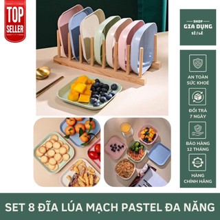 Set 8 đĩa lúa mạch pastel màu siêu xinh