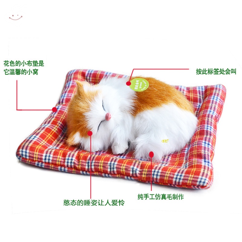 Wei yuan fang Zheng Zheng Zheng Zheng Zheng Zheng mao Who Gửi Trẻ Em Gửi Bạn Gái Động Vật Mô Phỏng Sáng Tạo Bán Sỉ Mèo Đang Ngủ