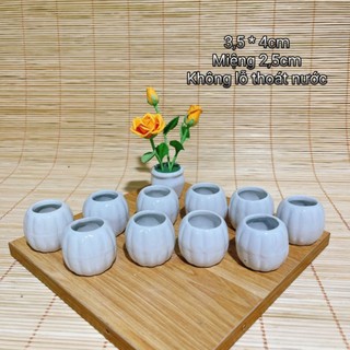 Combo 10 chậu cắm hoa gốm sứ mini