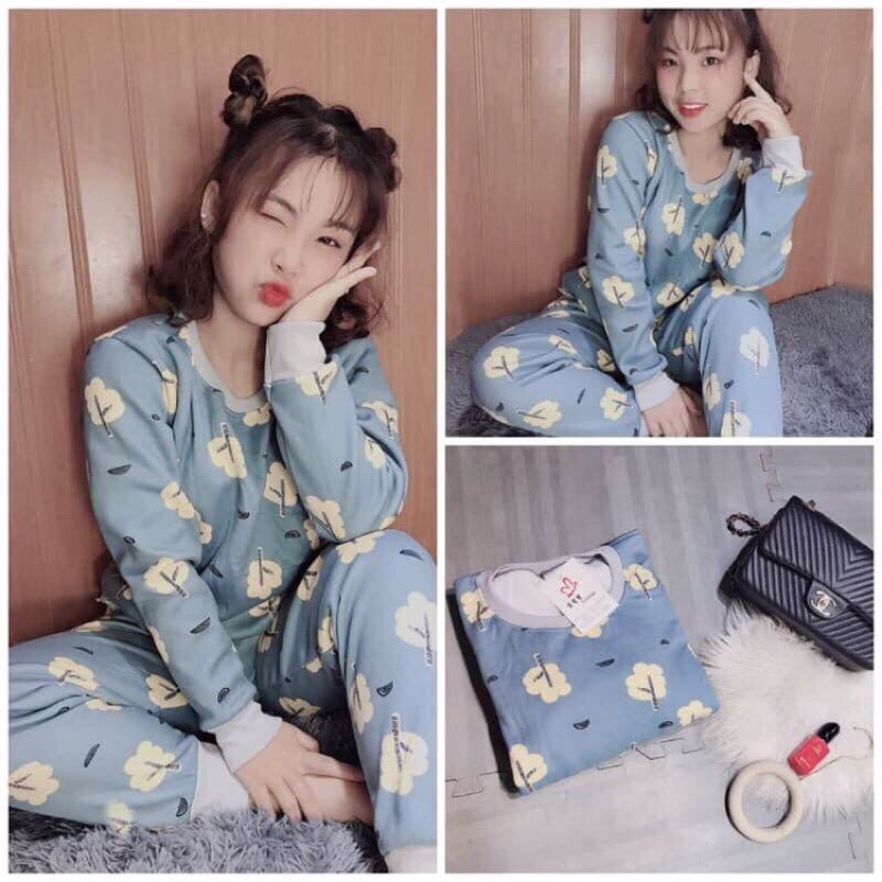 bộ nỉ lót lông loại dày 500g