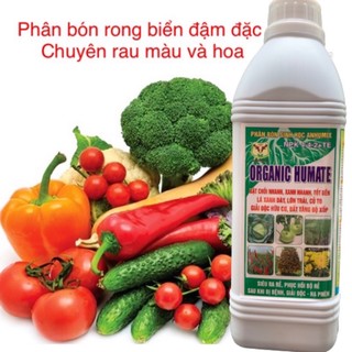 Phân Bón Rong Biển SEAWEED, humate 1Lít Đậm Đặc ra rễ mạnh, phục hồi cây, bật chồi, mập thân, xanh lá, to củ, lớn quả