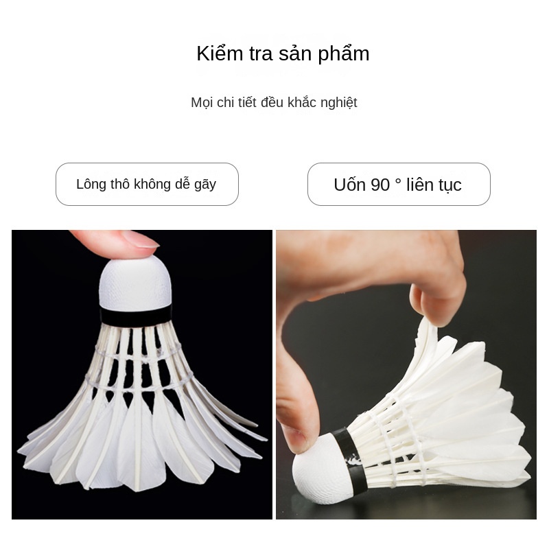 Cầu Lông Thành Công Ba Sao  Cái Tiêu Chuẩn Thi Đấu đào Tạo Bóng để Chơi ổn định Bóng Lông Vịt TTR042