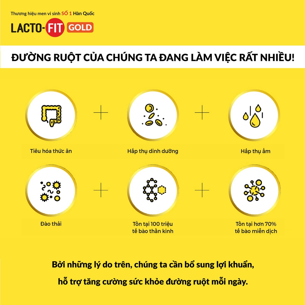 Combo 2 Hộp 50 Gói Men Vi Sinh LACTO-FIT GOLD Bổ Sung Lợi Khuẩn Cải Thiện Đường Ruột Khỏe Mạnh (50 gói x 2g)