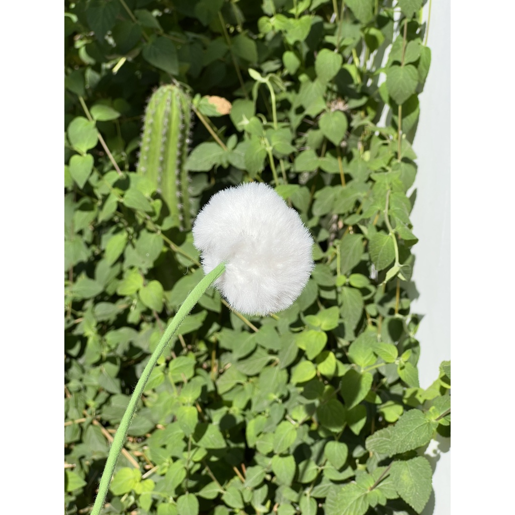 Hoa Bồ Công Anh Dễ Thương, thâ, 30cm - gấu bông đình may