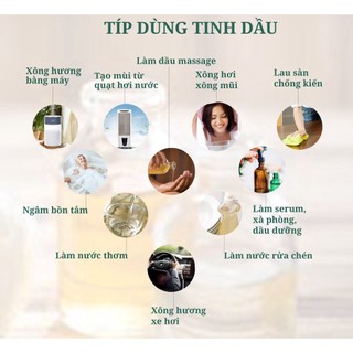 Tinh dầu sả chanh nguyên chất