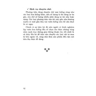 Sách - Cách Chọn Cây Mai Đẹp