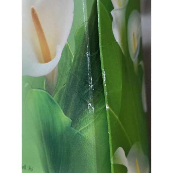 Búp bê barbie the Lily