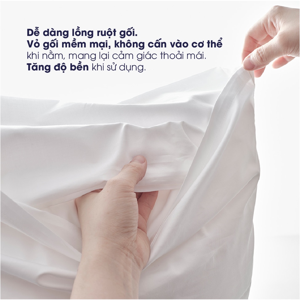 Bộ ga gối 3 món Changmi Bedding Cotton Lụa siêu mềm mịn - Đủ size