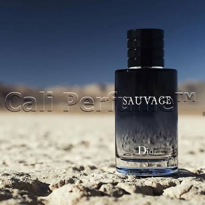 Nước Hoa Nam Sauvag EDT