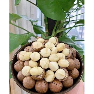 Hạt Macca DakLak Hũ 500g