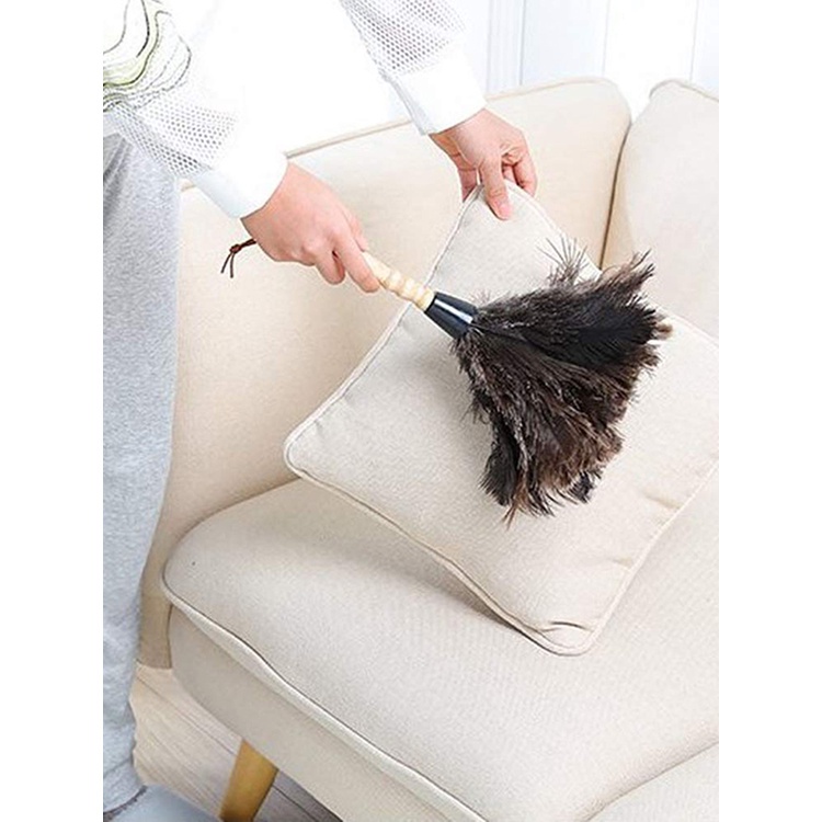 Chổi Lông Đà Điểu Phủi Bụi Cỡ Nhỏ Tiện Dụng Cho Gia Đình