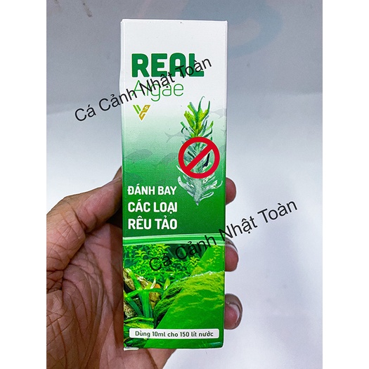 ĐÁNH BAY TẢO HẠI CHO BỂ CÁ CẢNH REAL ALGAE VIETSING 100ML