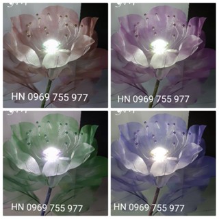 Set nguyên liệu đèn hoa vải voan khổng lồ/ đèn led tròn