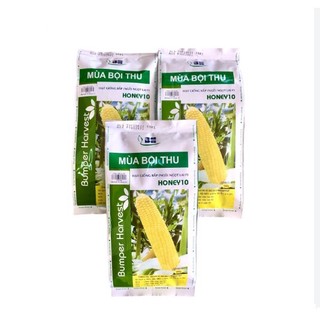 2Gr Hạt Giống Bắp Mỹ Honey