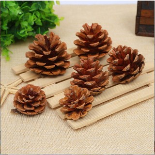 Mô hình quả thông trang trí giáng sinh decor mô hình Noel, trang trí cây thông