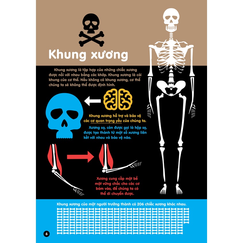 Sách - Infographics - Bách Khoa Tri Thức Bằng Đồ Họa Cho Trẻ Em - Cơ Thể Người - DTI