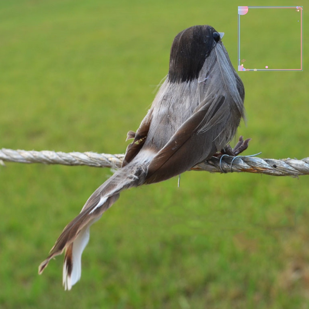 Phụ Kiện Trang Trí Sân Vườn Hình Chim Xốp Có Kẹp Tiện Dụng dv3