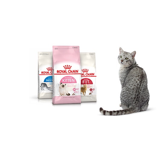 Hạt Royal Canin Mother&Babycat, Kitten 36, Indoor 27, Fit 32, Mix- Thức ăn hạt cho Mèo Kún Miu Pet Shop