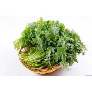 200H -Hạt_Giống_Cải_Cúc ( tặng kèm kích mầm và phân bón )