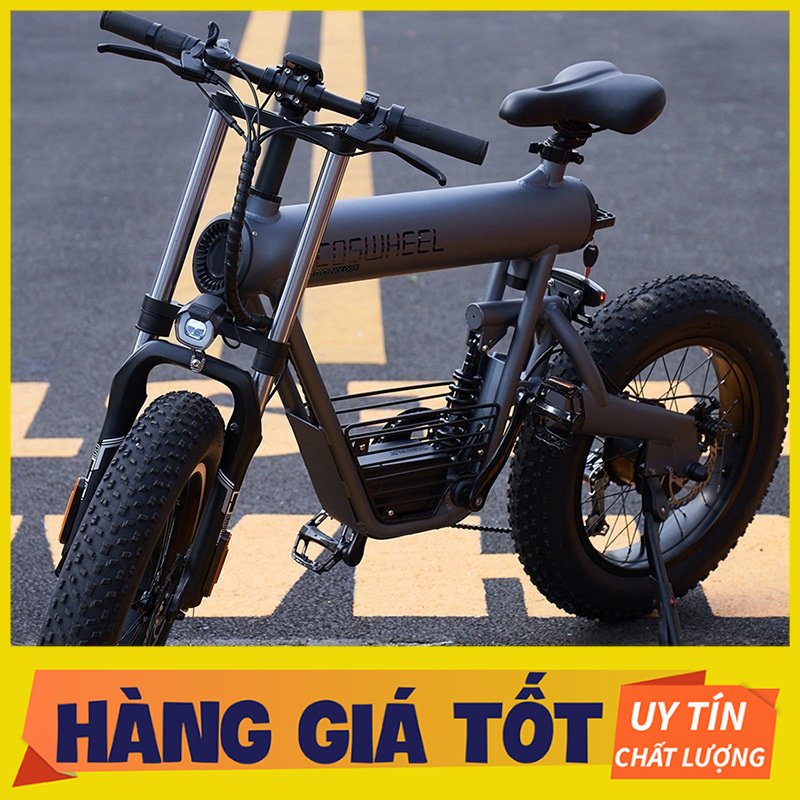 Xe Đạp Điện Thể Thao Coswheel T20